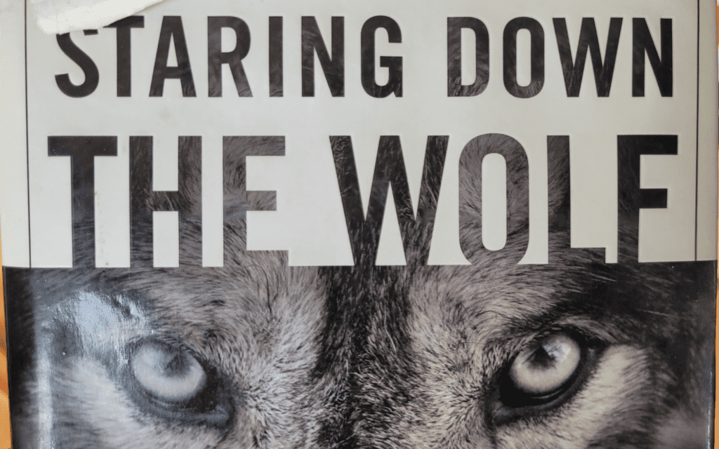 Staring Down the Wolf; 7 leadership commitments that forge elite teams